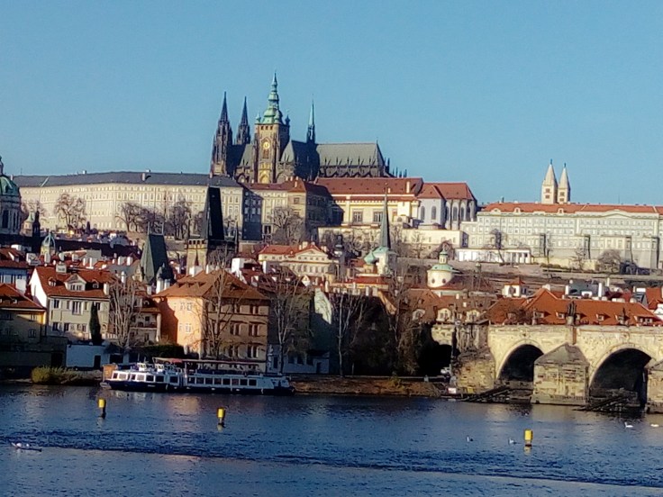 2018-12-05 11.56.44.jpg